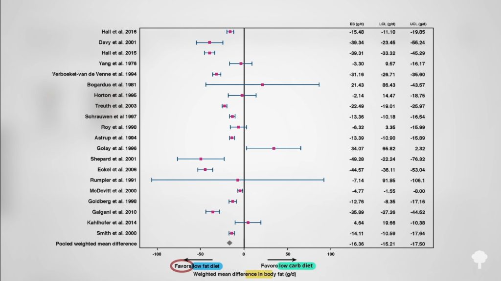 Plus d'études favorisent le régime faible en gras contre le régime faible en glucides pour la perte de graisse corporelle.