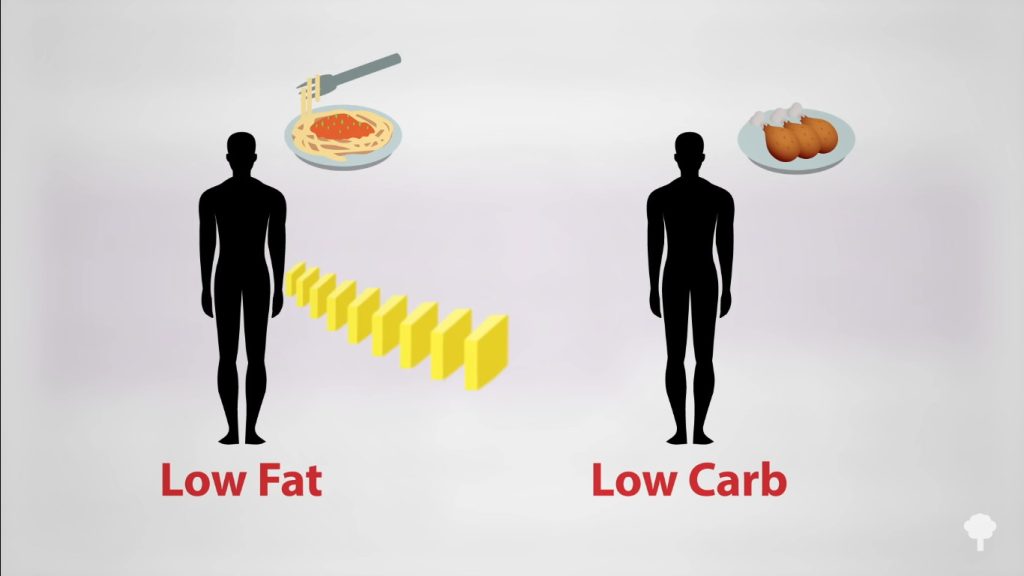 Perte de graisse par jour sous un régime faible en gras versus un régime faible en glucides, équivalent en noisettes de beurre.