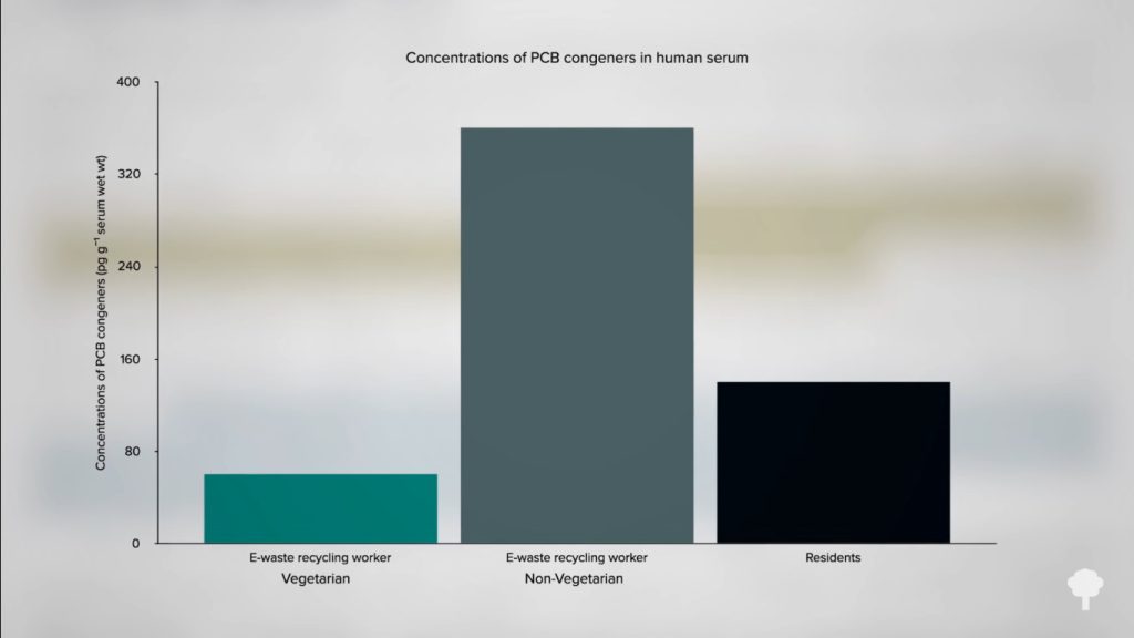 Taux sanguins de PCB de non végétariens comparé à végétariens en Inde.